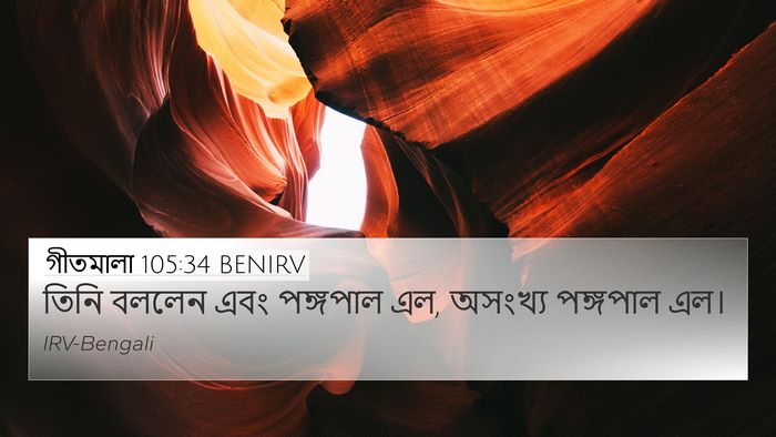 গীতমালা 105:34 BENIRV Bible Verse Image