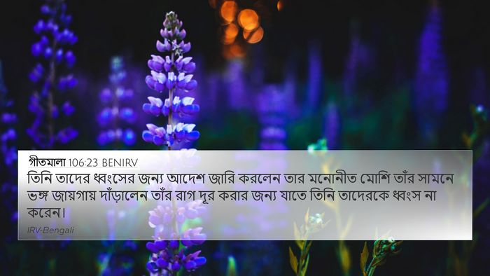 গীতমালা 106:23 BENIRV Bible Verse Image