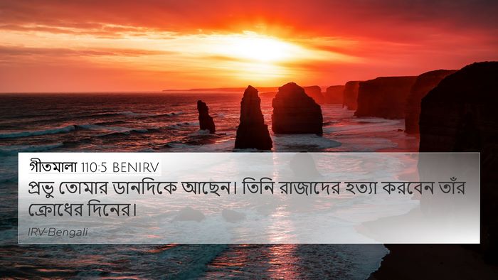 গীতমালা 110:5 BENIRV Bible Verse Image