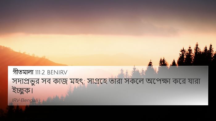 গীতমালা 111:2 BENIRV Bible Verse Image