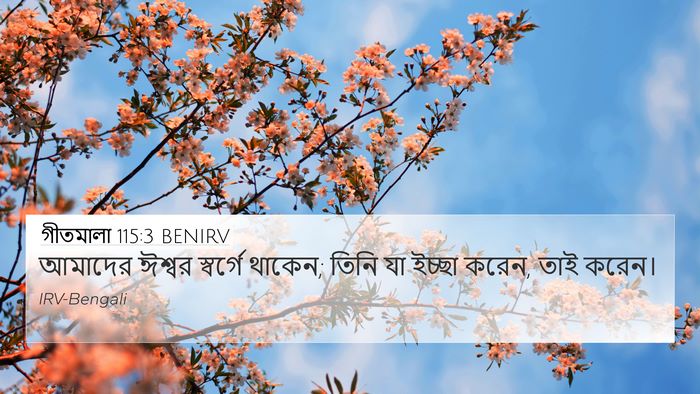 গীতমালা 115:3 BENIRV Bible Verse Image
