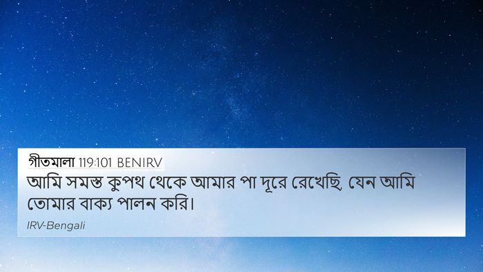 গীতমালা 119:101 BENIRV Bible Verse Image