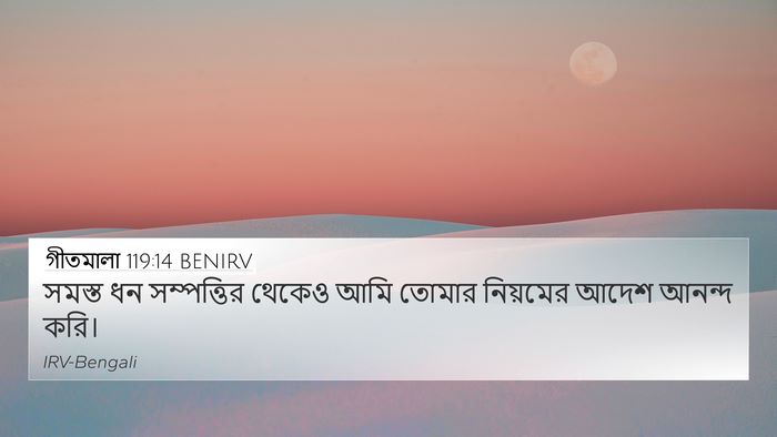 গীতমালা 119:14 BENIRV Bible Verse Image