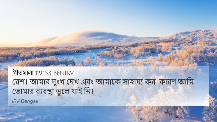 গীতমালা 119:153 BENIRV Bible Verse Image