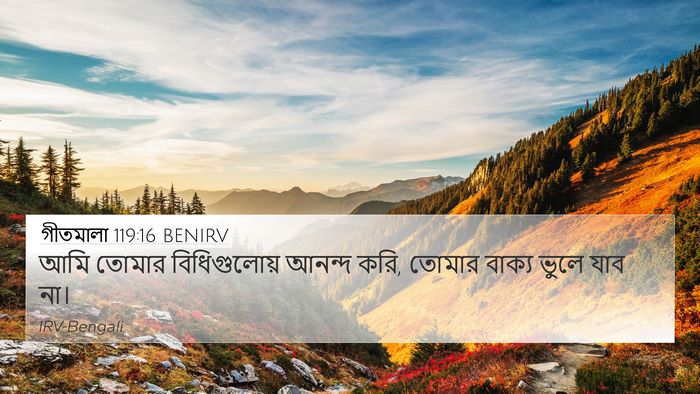 গীতমালা 119:16 BENIRV Bible Verse Image