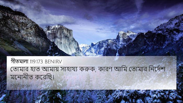 গীতমালা 119:173 BENIRV Bible Verse Image