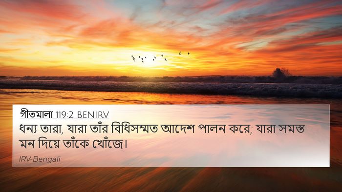 গীতমালা 119:2 BENIRV Bible Verse Image