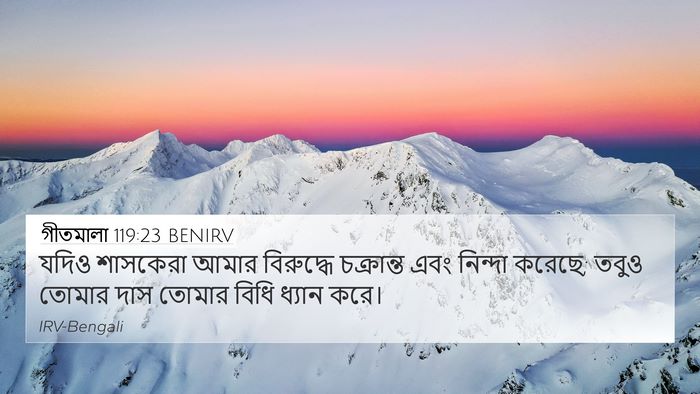 গীতমালা 119:23 BENIRV Bible Verse Image