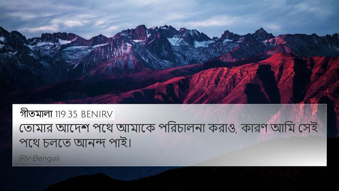 গীতমালা 119:35 BENIRV Bible Verse Image