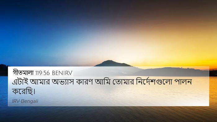 গীতমালা 119:56 BENIRV 4K Wallpaper - এটাই আমার অভ্যাস - 4K Wallpaper Bible Verse