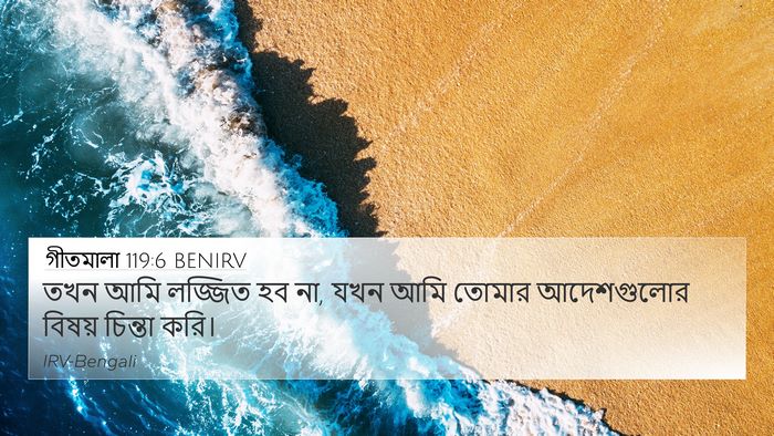 গীতমালা 119:6 BENIRV Bible Verse Image