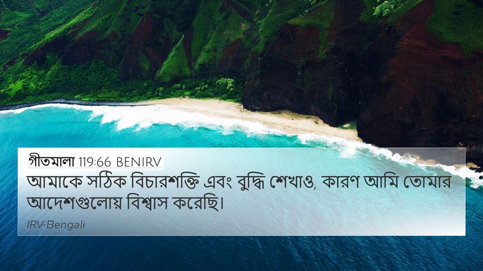 গীতমালা 119:66 BENIRV Bible Verse Image