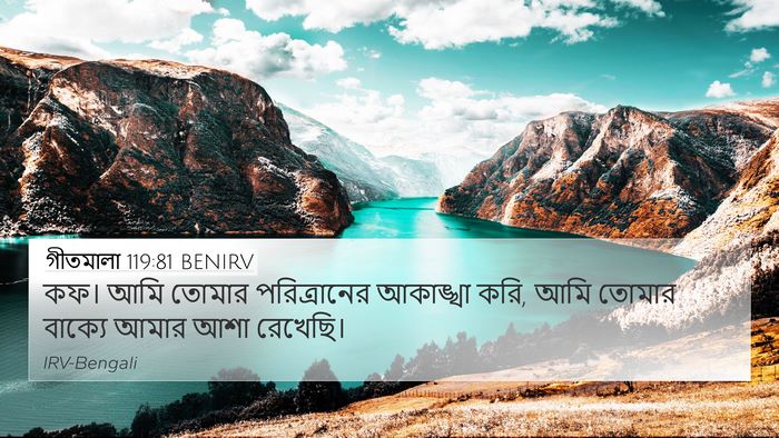 গীতমালা 119:81 BENIRV Bible Verse Image