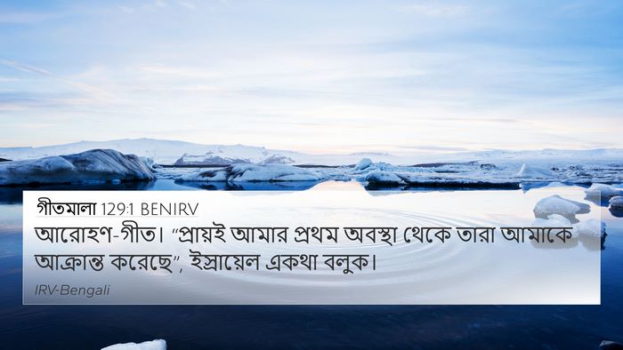 গীতমালা 129:1 BENIRV Bible Verse Image