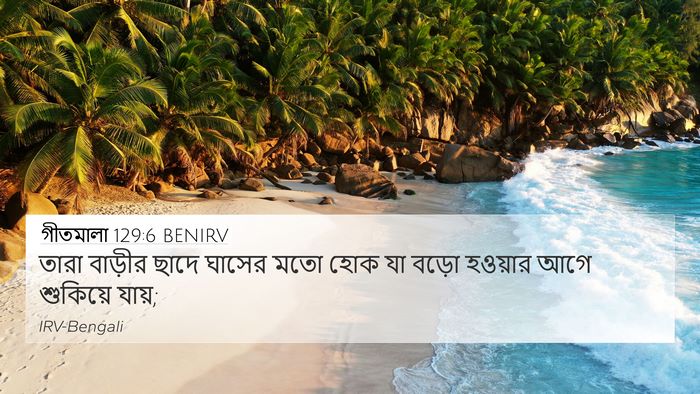গীতমালা 129:6 BENIRV Bible Verse Image