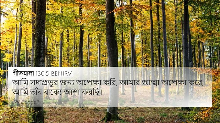গীতমালা 130:5 BENIRV Bible Verse Image