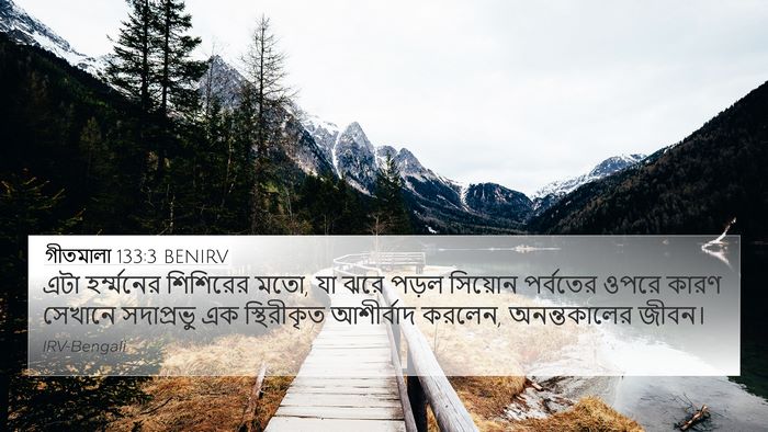 গীতমালা 133:3 BENIRV Bible Verse Image