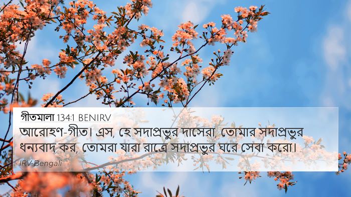 গীতমালা 134:1 BENIRV Bible Verse Image