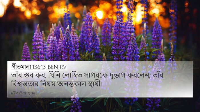 গীতমালা 136:13 BENIRV Bible Verse Image