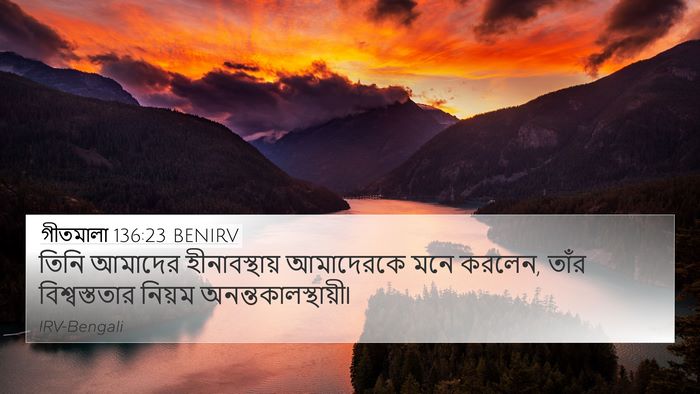 গীতমালা 136:23 BENIRV Bible Verse Image