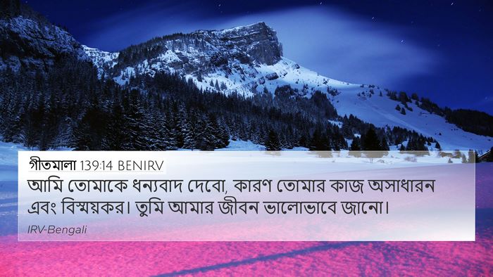 গীতমালা 139:14 BENIRV Bible Verse Image