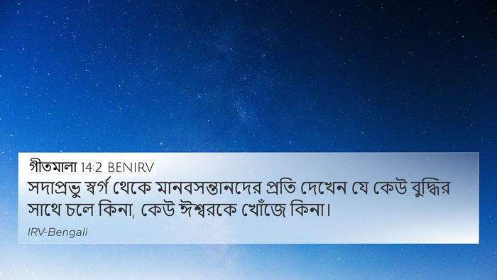 গীতমালা 14:2 BENIRV Bible Verse Image