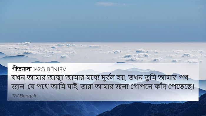 গীতমালা 142:3 BENIRV Bible Verse Image