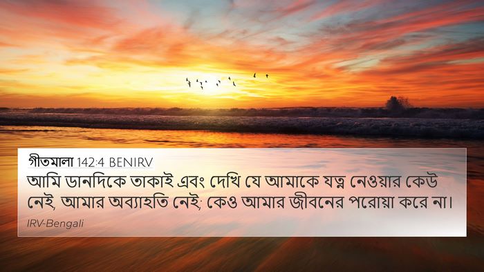 গীতমালা 142:4 BENIRV Bible Verse Image