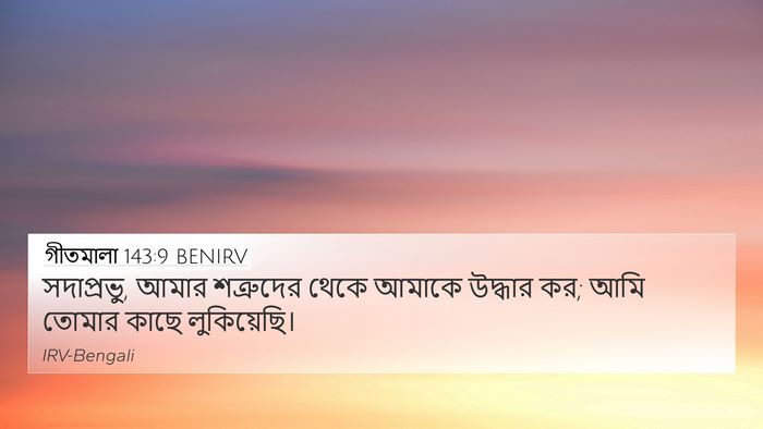 গীতমালা 143:9 BENIRV Bible Verse Image