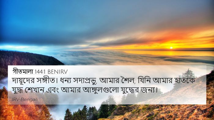গীতমালা 144:1 BENIRV Bible Verse Image