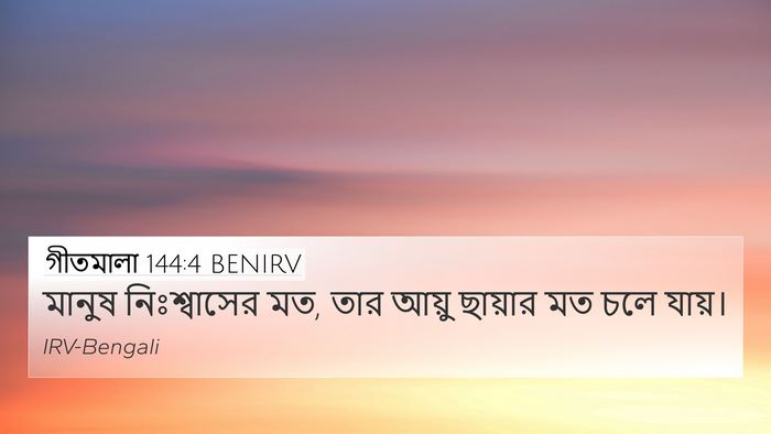 গীতমালা 144:4 BENIRV Bible Verse Image