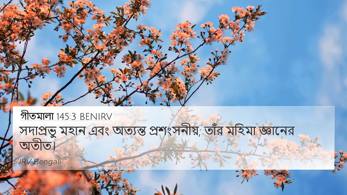 গীতমালা 145:3 BENIRV Bible Verse Image