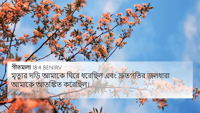 গীতমালা 18:4 BENIRV Bible Verse Image