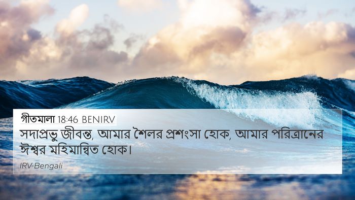 গীতমালা 18:46 BENIRV Bible Verse Image