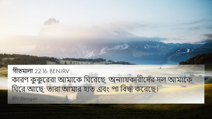 গীতমালা 22:16 BENIRV Bible Verse Image