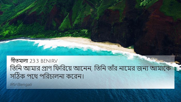 গীতমালা 23:3 BENIRV Bible Verse Image