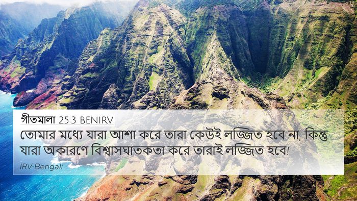 গীতমালা 25:3 BENIRV Bible Verse Image