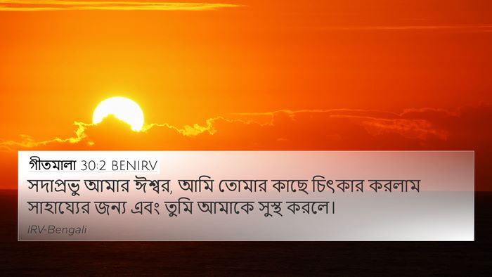 গীতমালা 30:2 BENIRV Bible Verse Image