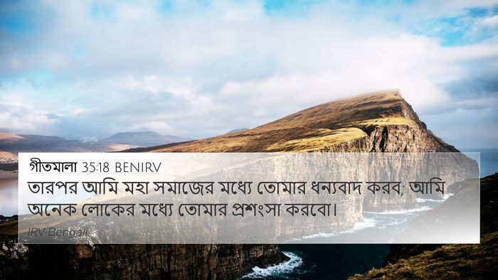 গীতমালা 35:18 BENIRV Bible Verse Image