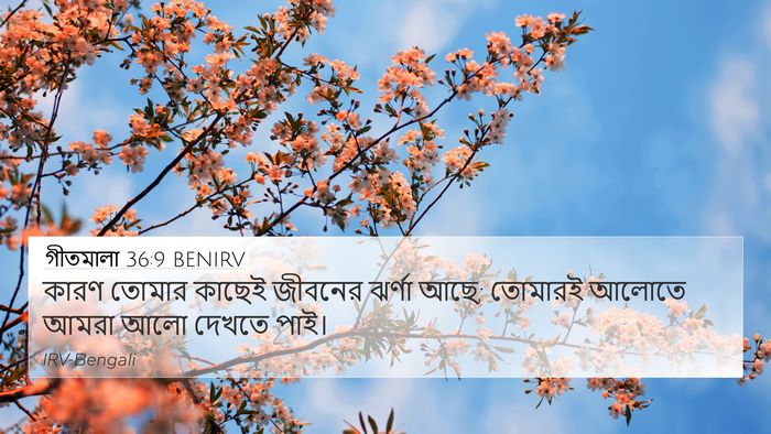 গীতমালা 36:9 BENIRV Bible Verse Image