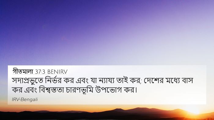 গীতমালা 37:3 BENIRV Bible Verse Image