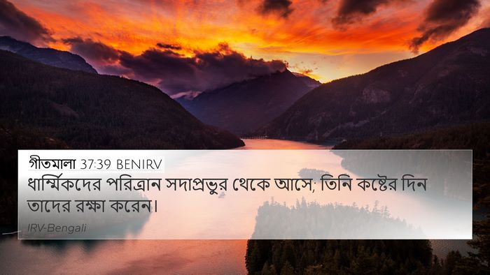 গীতমালা 37:39 BENIRV Bible Verse Image