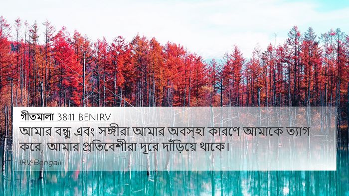 গীতমালা 38:11 BENIRV Bible Verse Image