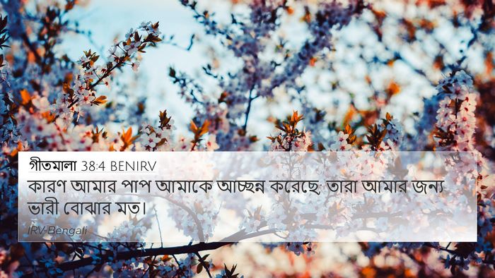 গীতমালা 38:4 BENIRV Bible Verse Image