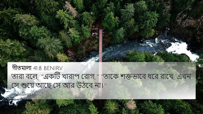 গীতমালা 41:8 BENIRV Bible Verse Image