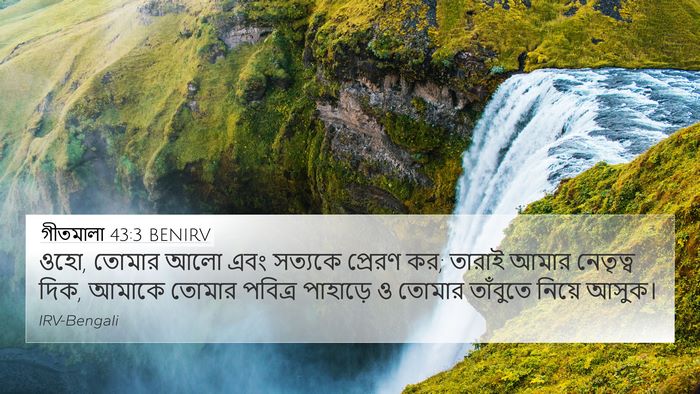 গীতমালা 43:3 BENIRV Bible Verse Image