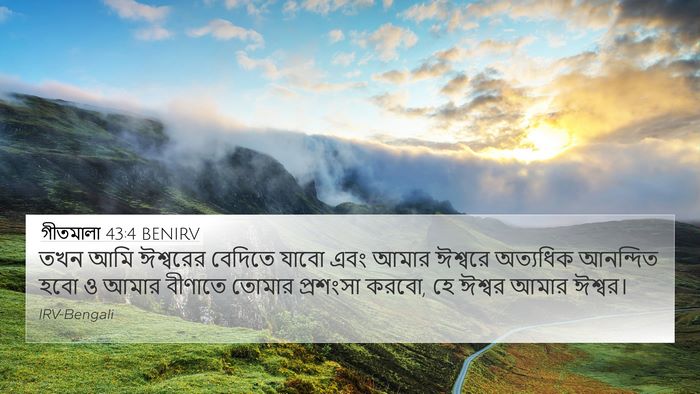 গীতমালা 43:4 BENIRV Bible Verse Image