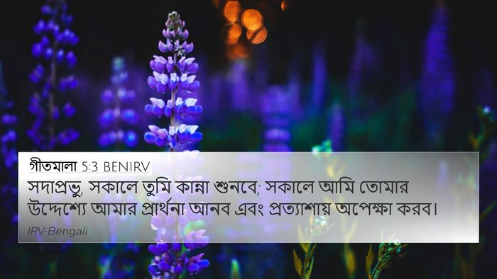 গীতমালা 5:3 BENIRV Bible Verse Image