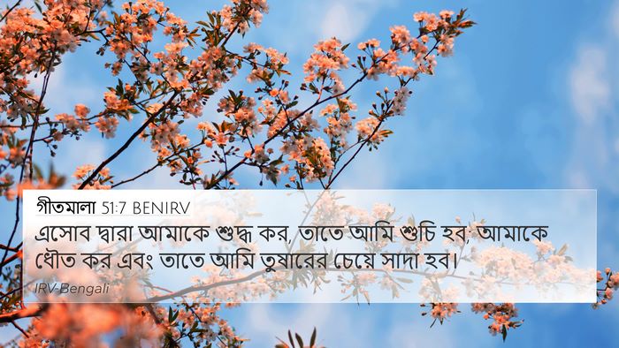 গীতমালা 51:7 BENIRV Bible Verse Image