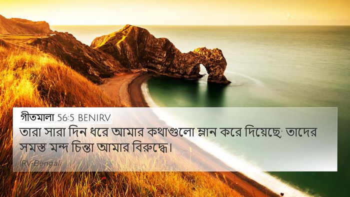 গীতমালা 56:5 BENIRV Bible Verse Image